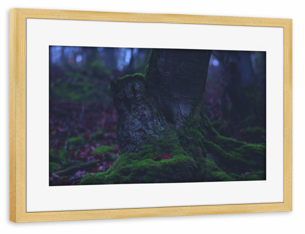 Poster mit Rahmen kiefer "Bemooster Baumstumpf" artboxONE - Natur