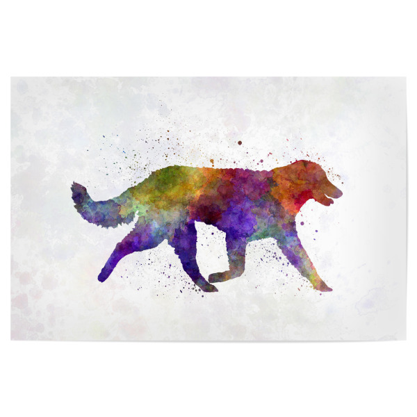 Poster 30x20 cm "Kuvasz in watercolor" artboxONE - Tiere,Abstrakt - Dog,Dogs,Pet,Animal,Mammal,Watercolor,Dog poster,Illustration,Abstract