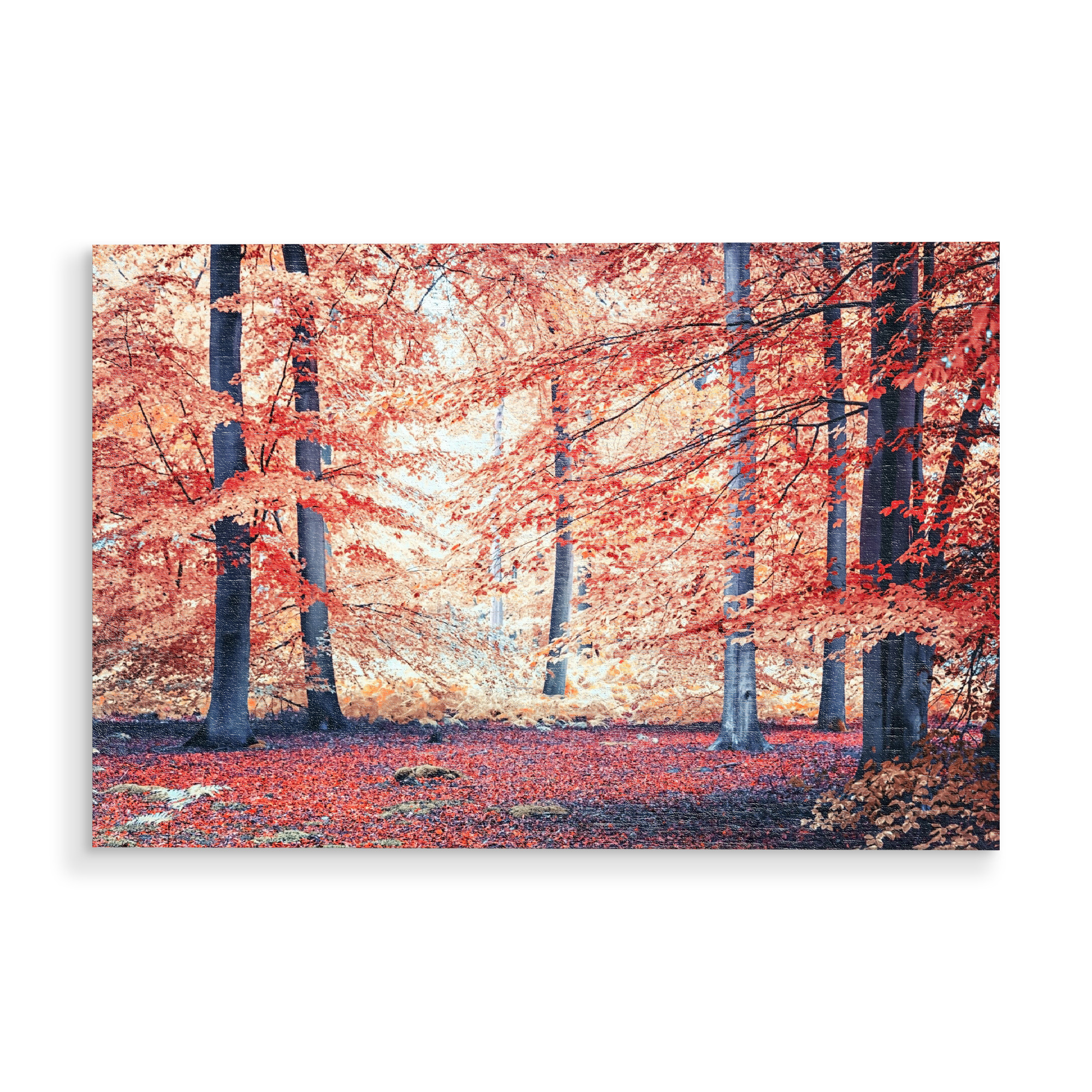 Holzbild "Autumn vibes in the forest" artboxONE - Natur,Reise,Reise / Länder,Für Mama