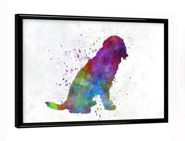 Poster mit schwarzem Rahmen "German Spaniel in watercolor" artboxONE - Tiere,Abstrakt