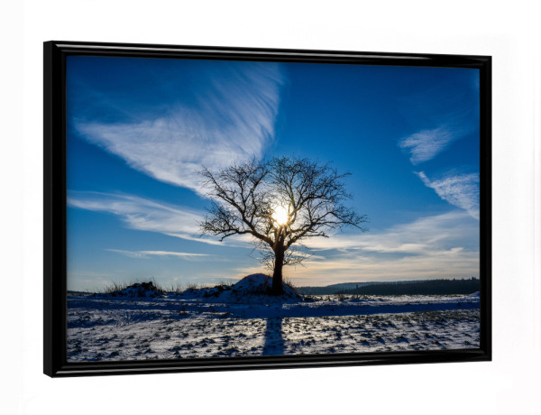Poster mit schwarzem Rahmen "Baum im Winter" artboxONE - Natur,Reise