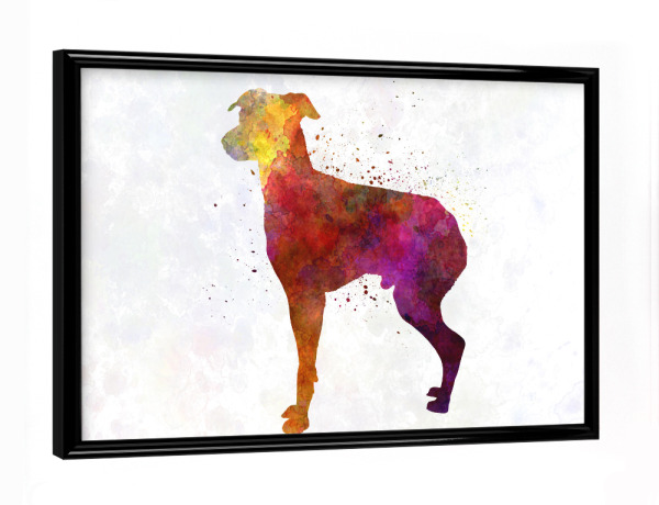 Poster mit schwarzem Rahmen "Japanese Terrier in watercolor" artboxONE - Tiere,Abstrakt