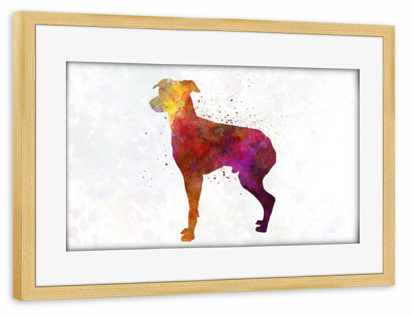 Poster mit Rahmen kiefer "Japanese Terrier in watercolor" artboxONE - Tiere,Abstrakt