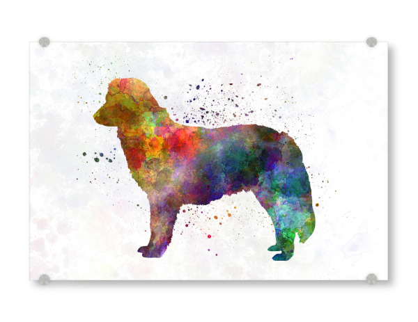 Acrylglasbild "Nova Scotia Duck Tolling Retriever" artboxONE - Tiere,Abstrakt - Dog,Dogs,Pet,Animal,Mammal,Watercolor,Dog poster,Illustration,Abstract