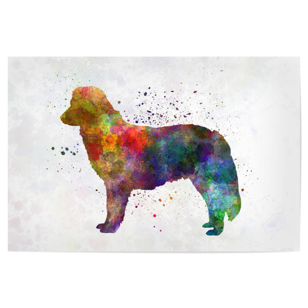 Poster "Nova Scotia Duck Tolling Retriever" artboxONE - Tiere,Abstrakt - Dog,Dogs,Pet,Animal,Mammal,Watercolor,Dog poster,Illustration,Abstract