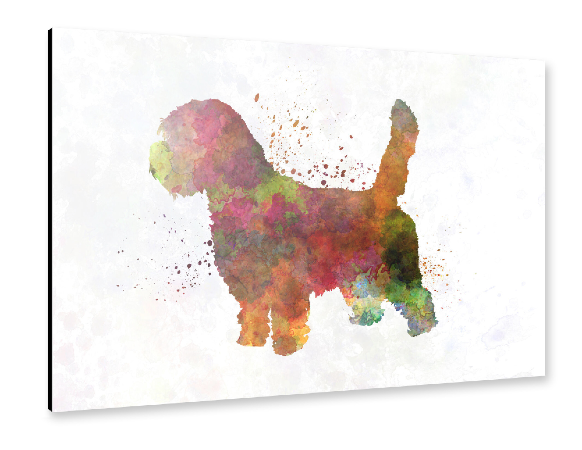 Alu-Dibond "Petit Basseft Grifon Vendeen" 30x20 cm artboxONE