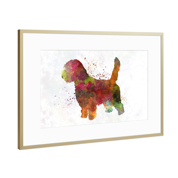 Poster mit Rahmen Gold "Petit Basseft Grifon Vendeen" artboxONE - Tiere,Abstrakt