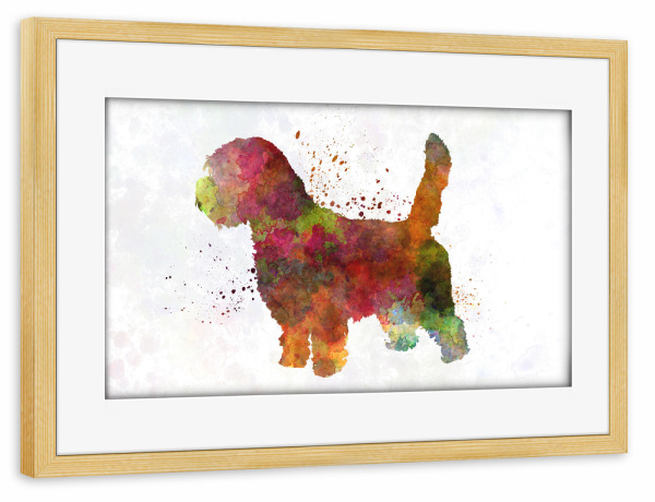 Poster mit Rahmen kiefer "Petit Basseft Grifon Vendeen" artboxONE - Tiere,Abstrakt