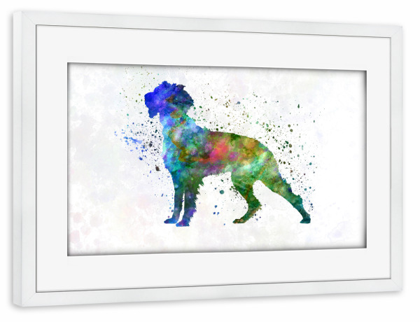 Poster mit Rahmen weiß "Pont Audemer Spaniel" artboxONE - Tiere,Abstrakt - Dog,Dogs,Pet,Animal,Mammal,Watercolor,Dog poster,Illustration,Abstract