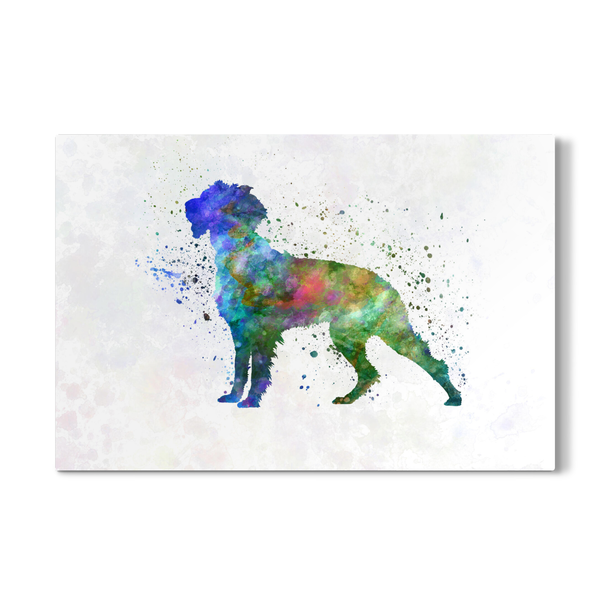 Galerie-Print "Pont Audemer Spaniel" 75x50 cm artboxONE