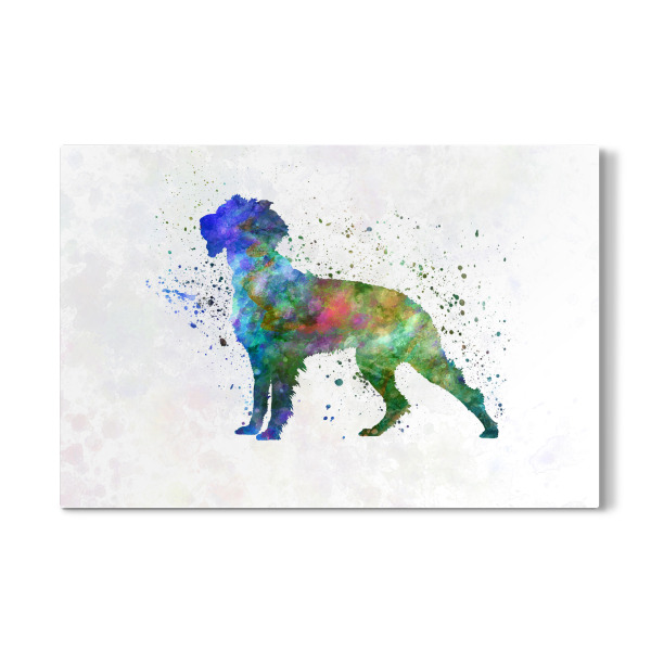 Galerie-Print "Pont Audemer Spaniel" 30x20 cm artboxONE