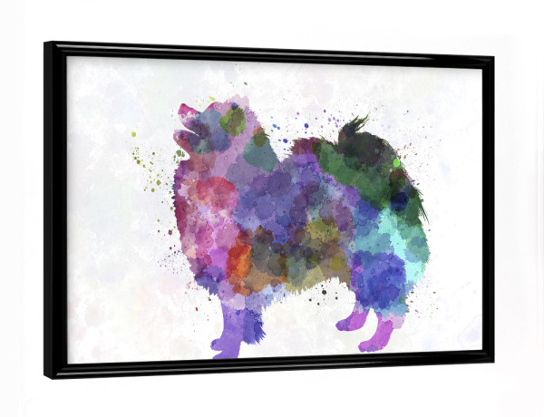 Poster mit schwarzem Rahmen "German Spitz in watercolor" artboxONE - Tiere,Abstrakt