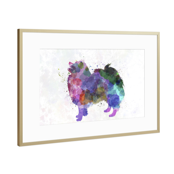 Poster mit Rahmen Gold "German Spitz in watercolor" artboxONE - Tiere,Abstrakt