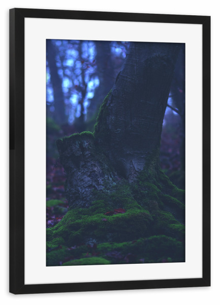 Poster mit Rahmen schwarz "Bemooster Baum" artboxONE - Natur