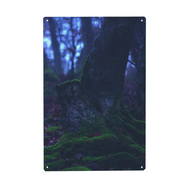 Holzbild "Bemooster Baum" artboxONE - Natur