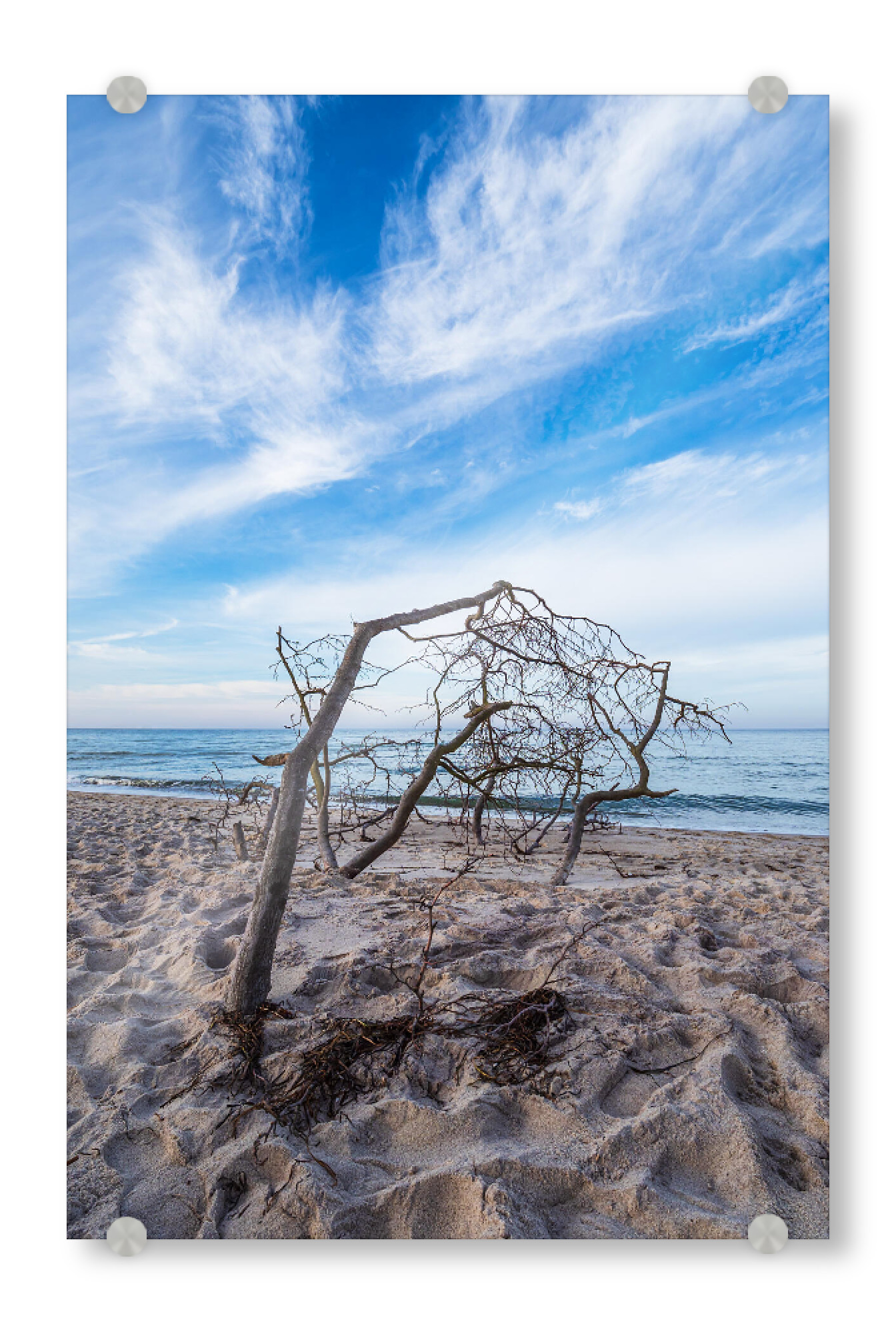 Acrylglasbild "Wolken, Meer, Baumstamm" artboxONE - Natur,Reise,Reise / Strand und Meer