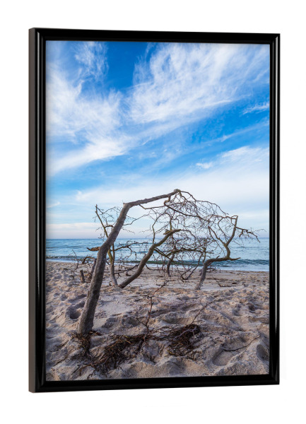 Poster mit schwarzem Rahmen "Wolken, Meer, Baumstamm" artboxONE - Natur,Reise,Reise / Strand und Meer