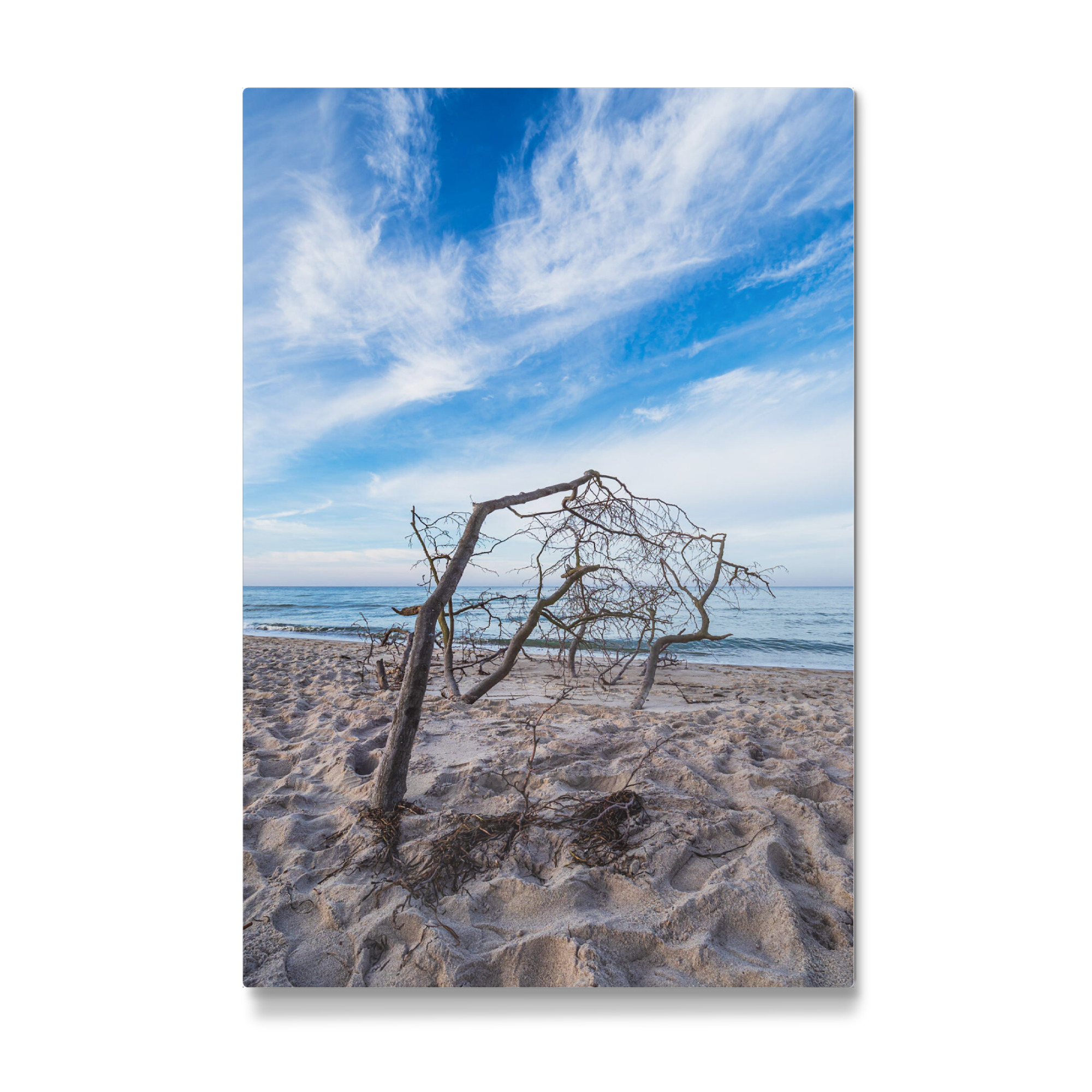 Galerie-Print "Wolken, Meer, Baumstamm" 30x20 cm artboxONE