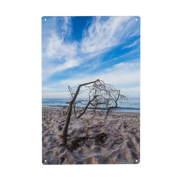 Metall Poster "Wolken, Meer, Baumstamm" artboxONE - Natur,Reise,Reise / Strand und Meer