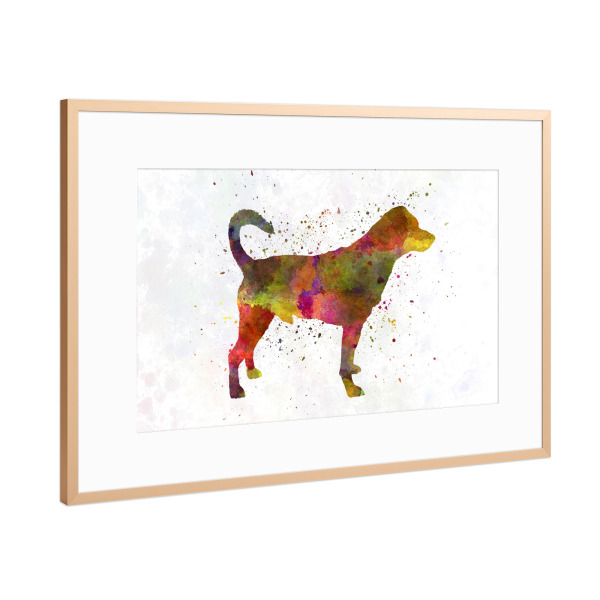 Poster mit Rahmen Kupfer "Danish swedish farmdog" artboxONE - Tiere,Abstrakt