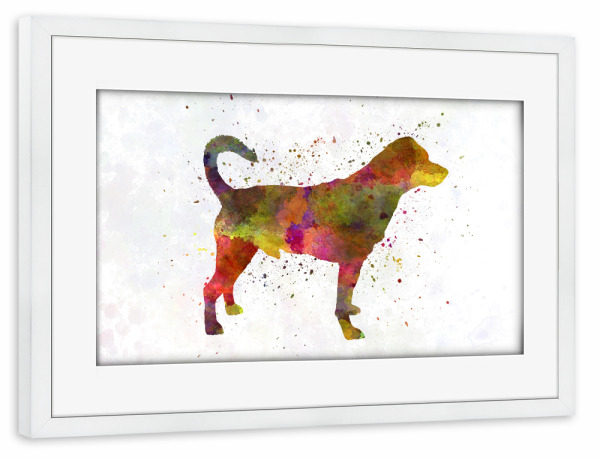 Poster mit Rahmen weiß "Danish swedish farmdog" artboxONE - Tiere,Abstrakt