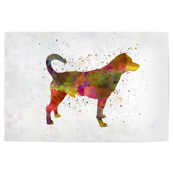 Poster 30x20 cm "Danish swedish farmdog" artboxONE - Tiere,Abstrakt