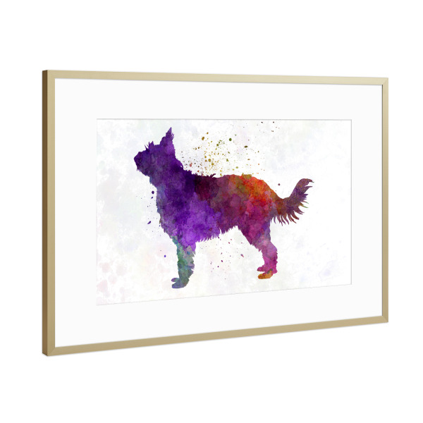 Poster mit Rahmen Gold "Picardy Sheepdog" artboxONE - Tiere,Abstrakt - Dog,Dogs,Pet,Animal,Mammal,Watercolor,Dog poster,Illustration,Abstract