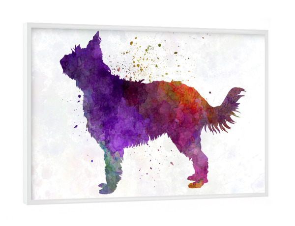 Poster mit weißem Rahmen "Picardy Sheepdog" artboxONE - Tiere,Abstrakt - Dog,Dogs,Pet,Animal,Mammal,Watercolor,Dog poster,Illustration,Abstract
