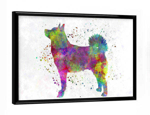 Poster mit schwarzem Rahmen "Norwegian Buhund in watercolor" artboxONE - Tiere,Abstrakt