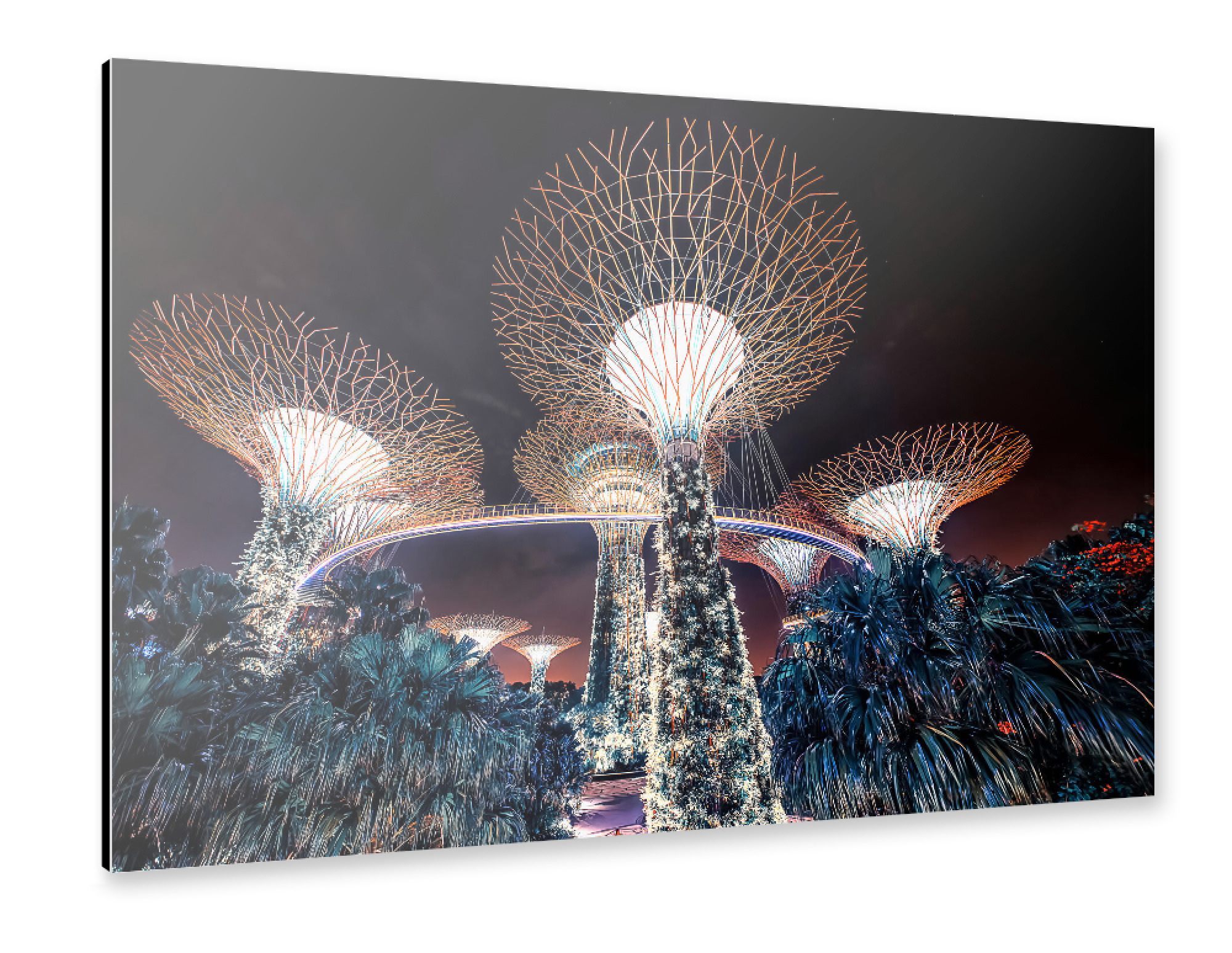 Alu-Dibond "Supertree Grove" 75x50 cm artboxONE
