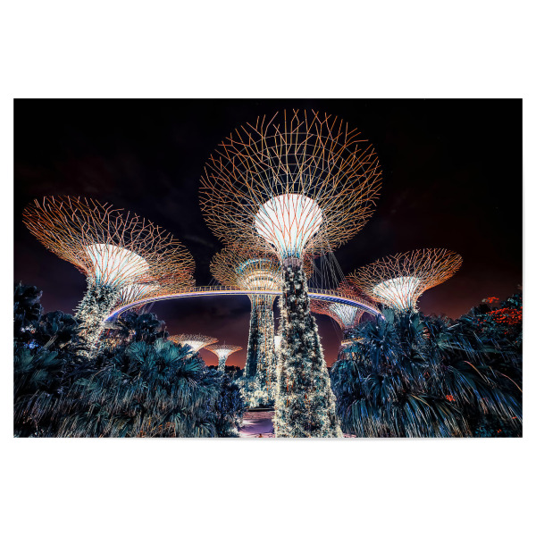 Poster "Supertree Grove" artboxONE - Städte,Reise,Architektur,Reise / Asien,Städte / Singapur