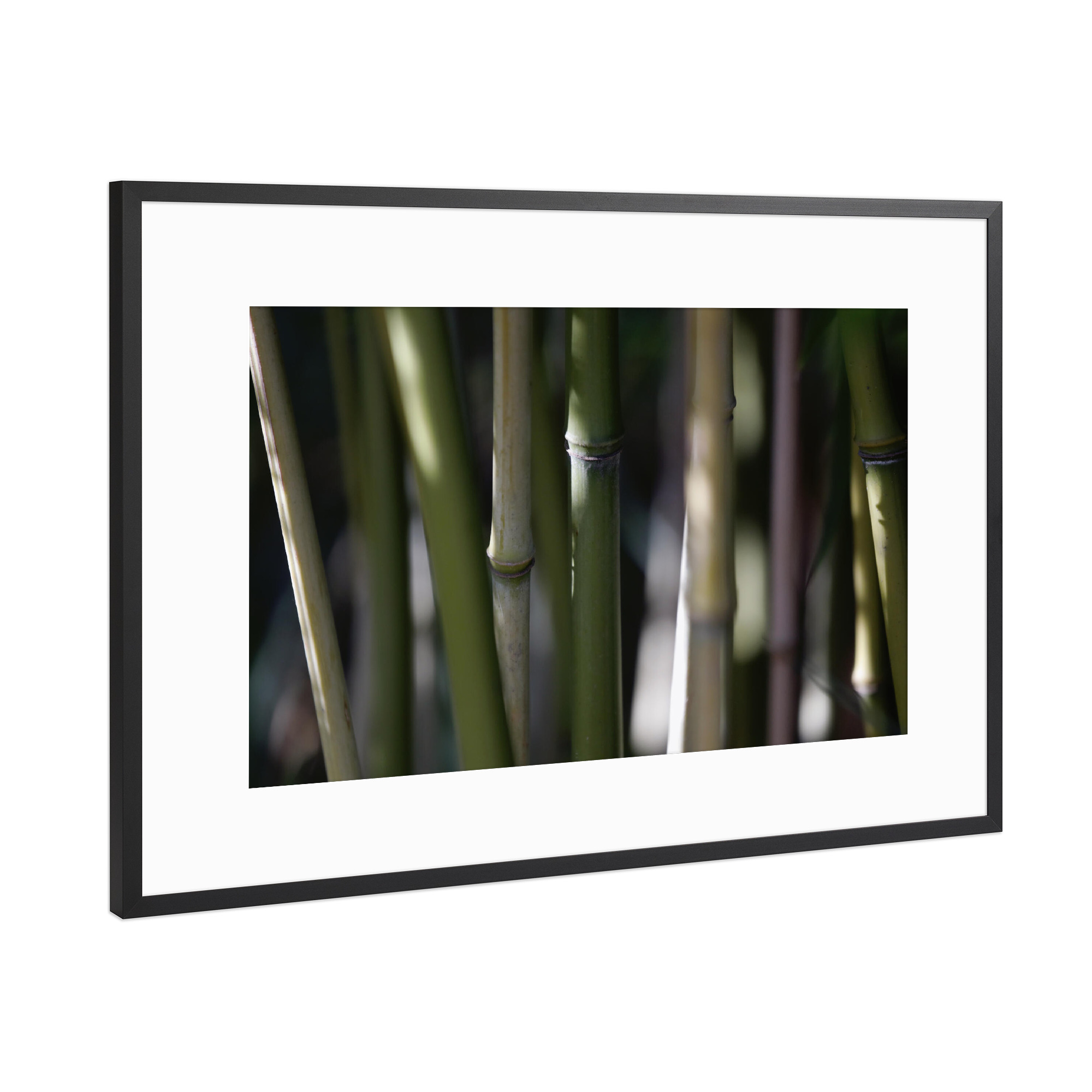 Poster mit Rahmen Schwarz (Metallic) "Minimalistische Bambus Pflanze" artboxONE - Natur,Floral,Abstrakt,Reise / Asien