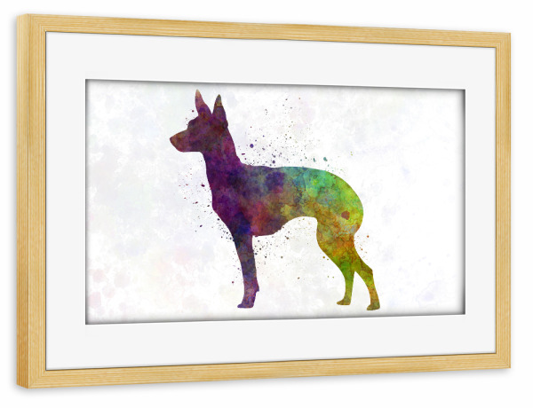 Poster mit Rahmen kiefer "English Toy Terrier in watercolor" artboxONE - Tiere,Abstrakt