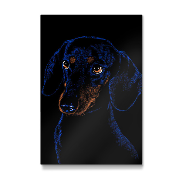 Galerie-Print "Dachshund pet" 30x20 cm artboxONE