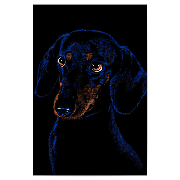 Poster "Dachshund pet" artboxONE - Tiere - Dachshund,Dog,Pet,Dog breed,Hund,Domestic animal,Canine,Hound,Teckel