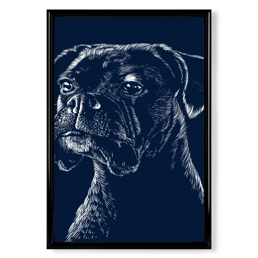 Boxer Dog Pet
