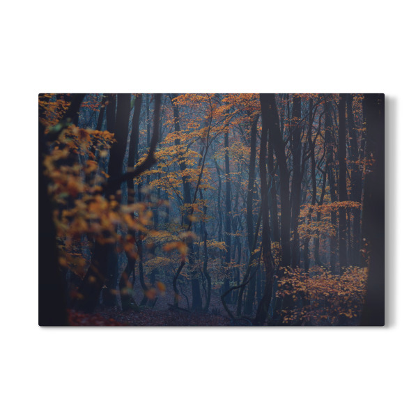 Galerie-Print "Herbststimmung im Wald" 30x20 cm artboxONE
