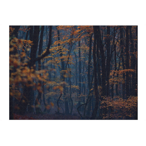 artboxONE Puzzle "Herbststimmung im Wald" artboxONE - Natur