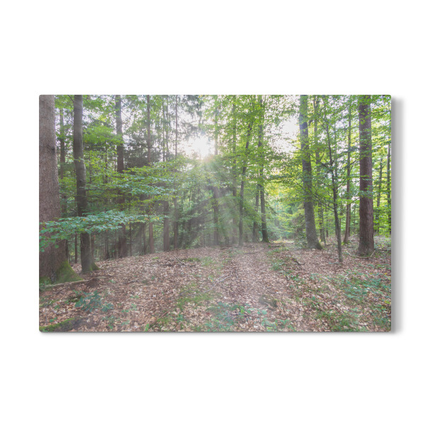 Galerie-Print "Magisches Sonnenlicht im Wald" 30x20 cm artboxONE