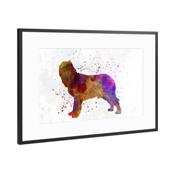 Poster mit Rahmen Schwarz (Metallic) "Napolitan Mastiff in watercolor" artboxONE - Tiere,Abstrakt