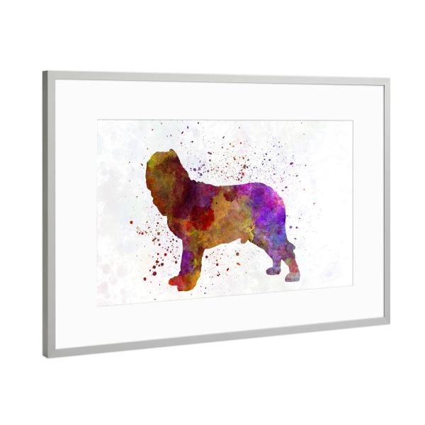 Poster mit Rahmen Silber "Napolitan Mastiff in watercolor" artboxONE - Tiere,Abstrakt