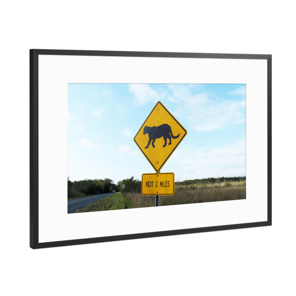 Poster mit Rahmen Schwarz (Metallic) "Pumaschild, Everglades" artboxONE - Natur,Reise,Reise / Länder