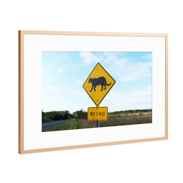 Poster mit Rahmen Kupfer "Pumaschild, Everglades" artboxONE - Natur,Reise,Reise / Länder