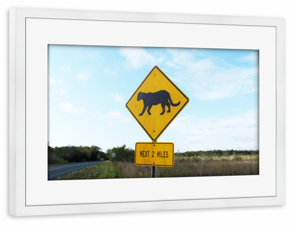 Poster mit Rahmen weiß "Pumaschild, Everglades" artboxONE - Natur,Reise,Reise / Länder