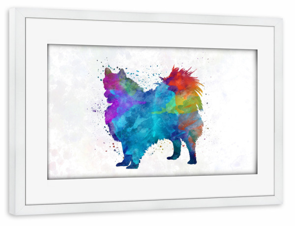 Poster mit Rahmen weiß "Pomeranian in watercolor" artboxONE - Tiere,Abstrakt