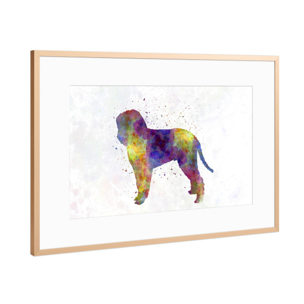 Poster mit Rahmen Kupfer "Romagna water dog in watercolor" artboxONE - Tiere,Abstrakt