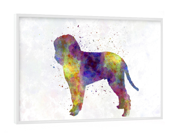 Poster mit weißem Rahmen "Romagna water dog in watercolor" artboxONE - Tiere,Abstrakt