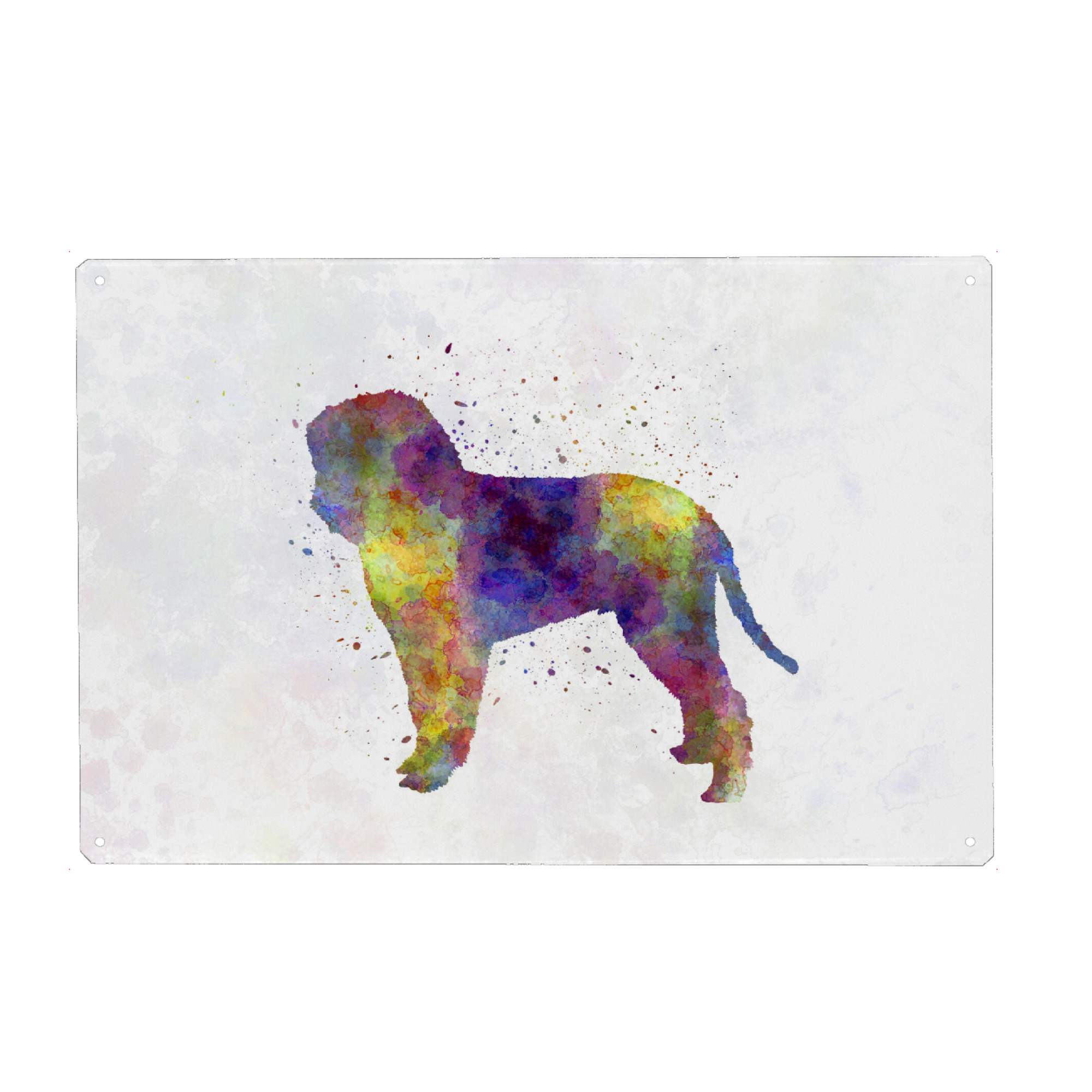 Metall Poster "Romagna water dog in watercolor" artboxONE - Tiere,Abstrakt