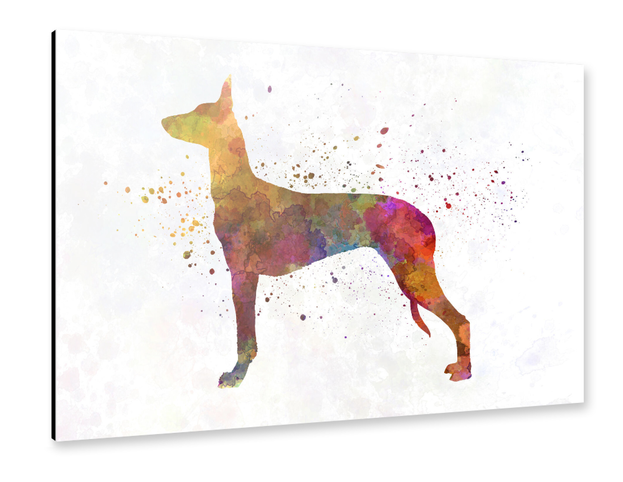 Alu-Dibond "Pharaoh Hound" 75x50 cm artboxONE