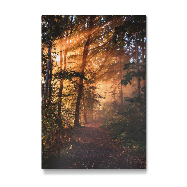 Galerie-Print "Glorious Morning in the Woods" 30x20 cm artboxONE